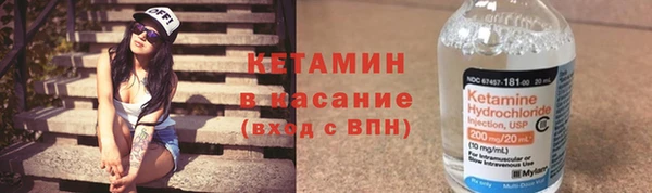 шишки Абаза