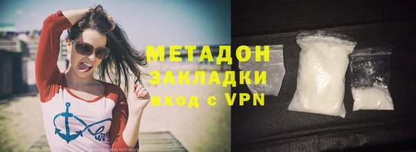 шишки Абаза