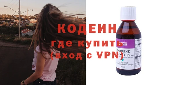 шишки Абаза