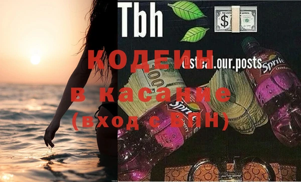 шишки Абаза