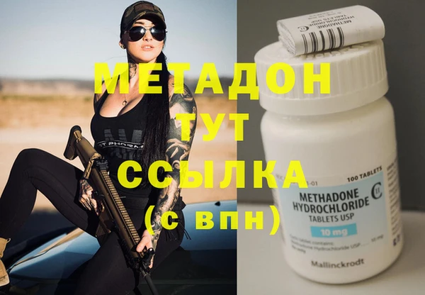 шишки Абаза
