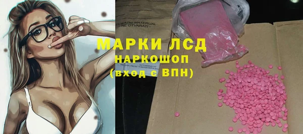 шишки Абаза