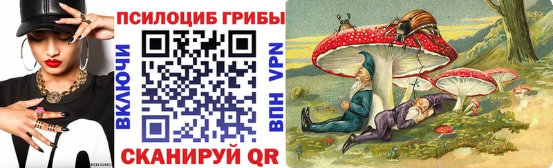 KRAKEN зеркало  Морозовск  Галлюциногенные грибы Psilocybine cubensis 