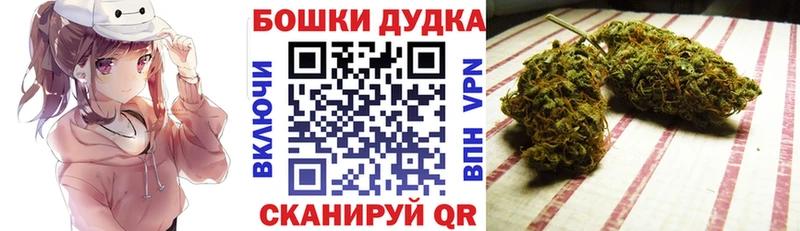 Бошки Шишки конопля Морозовск